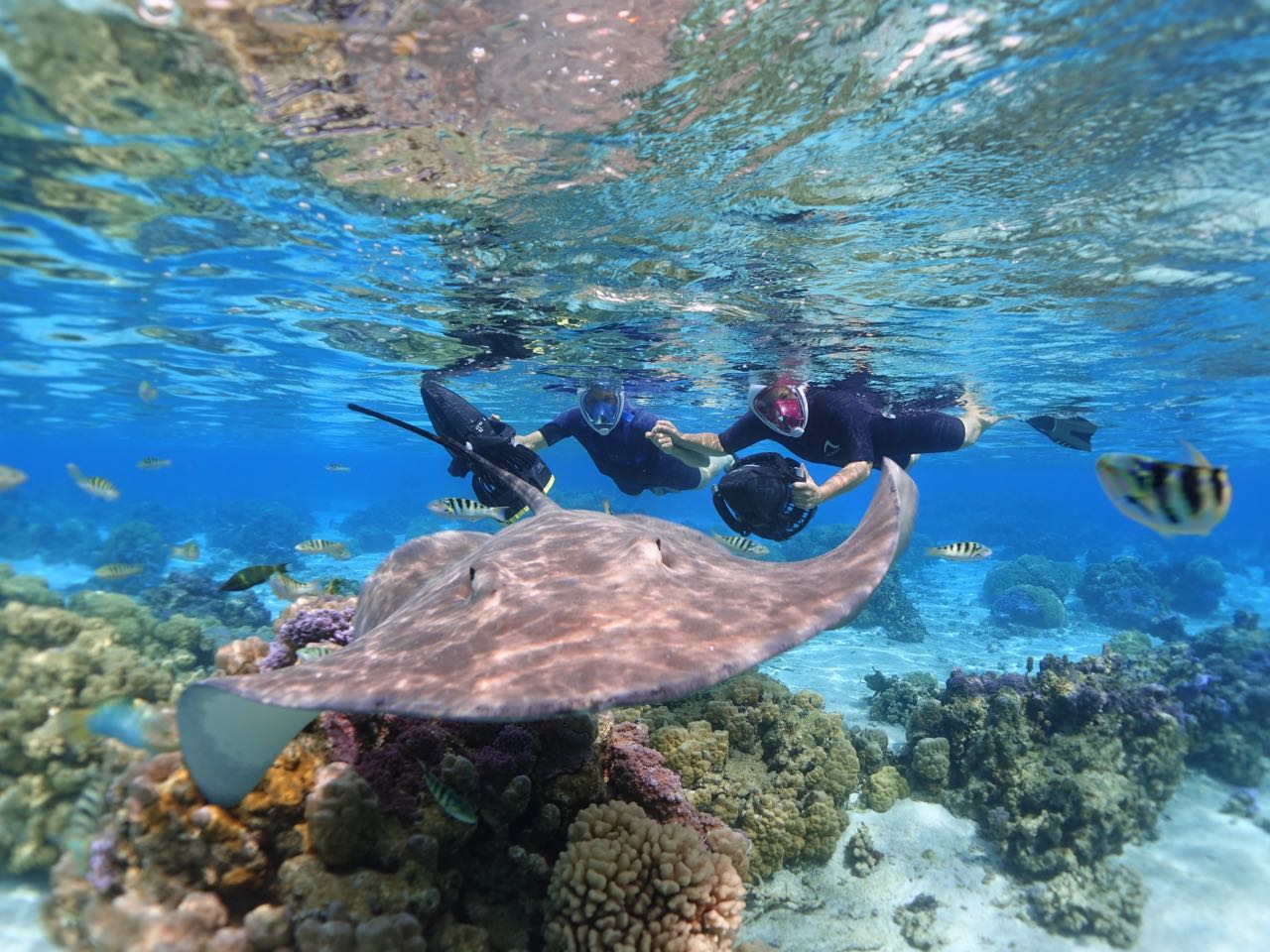 https://tahititourisme.mx/wp-content/uploads/2020/09/Sea-Scooter-Snorkeling-Tour-à-moorea-copie-2.jpg