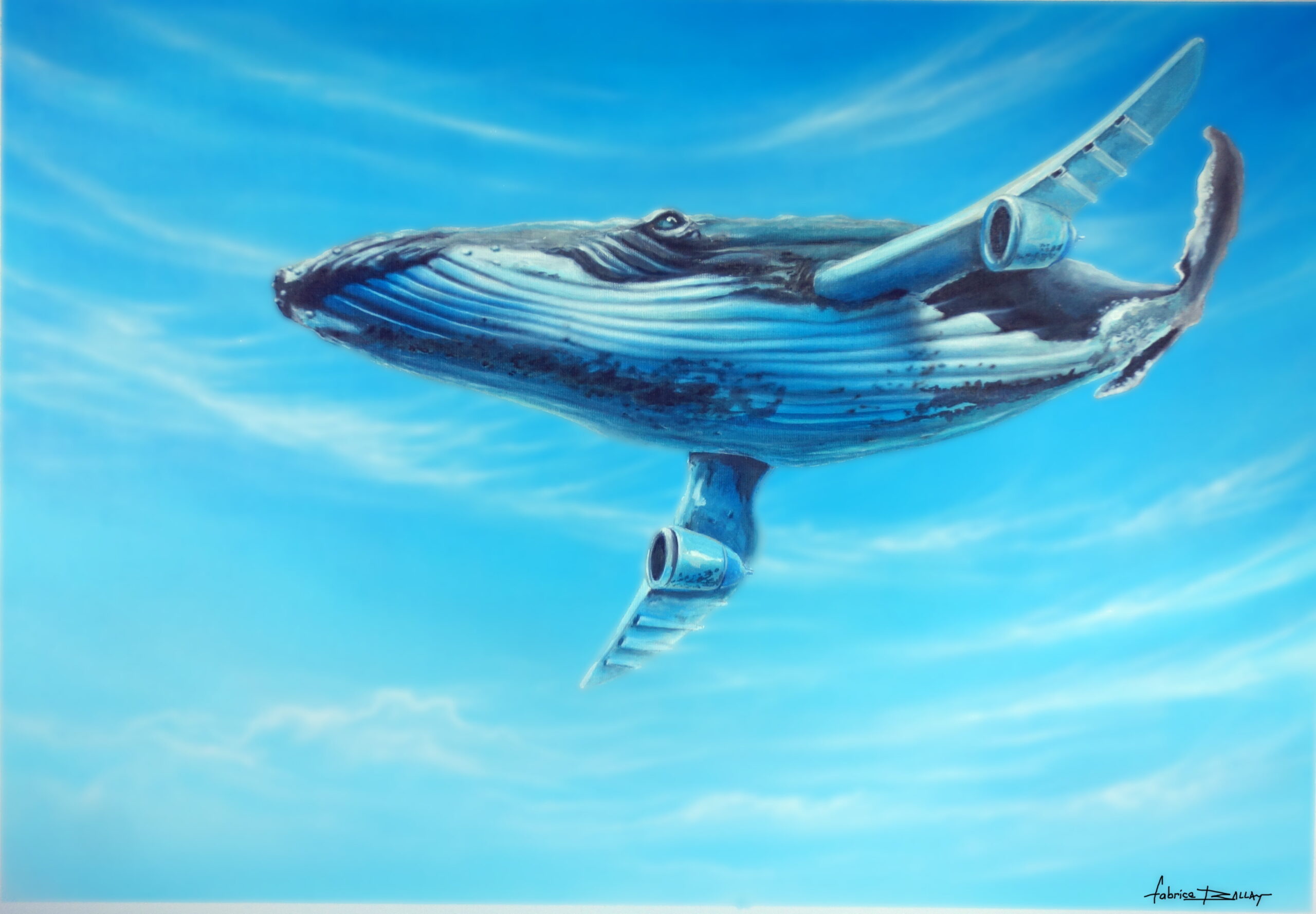 https://tahititourisme.mx/wp-content/uploads/2024/02/baleine_volante-min-scaled.jpg